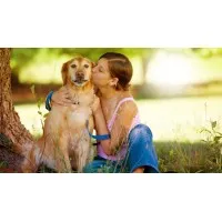 Dallas Highway Animal Hospital