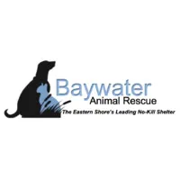Baywater Animal Rescue