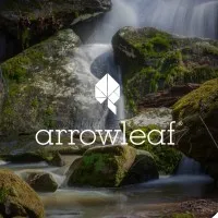 Arrowleaf