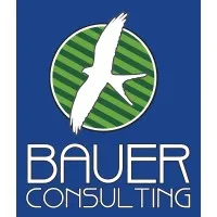 BAUER CONSULTING LLC BAUER CONSULTING LLC