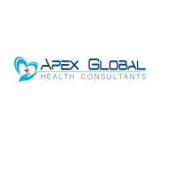 Apex Global Health Consultants