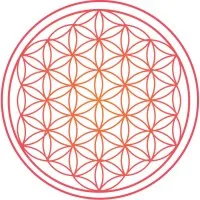 Enlightened Business Solutions