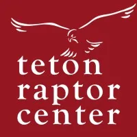Teton Raptor Center Teton Raptor Center