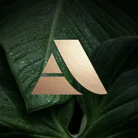 Alchemize House