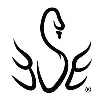 Swan-Black