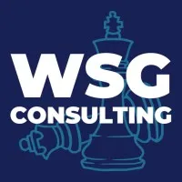 WSG Consulting LLC
