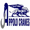 APPOLO CRANES PVT. LTD