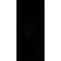 Oxford International Group Oxford International Group