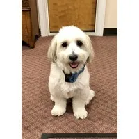 KevinKassover.com