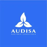 Grupo Audisa