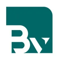 Brains Valley For Business Solutions