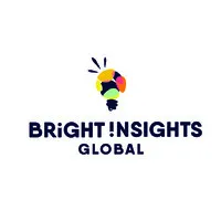 Bright Insights Global LLC Bright Insights Global LLC