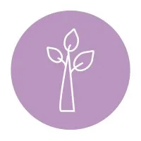 Purple Tree Coaching & Consulting