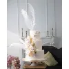 Papillon Cake Papillon Cake
