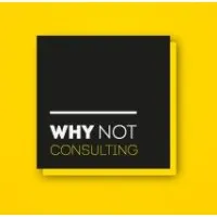 Why Not Consulting