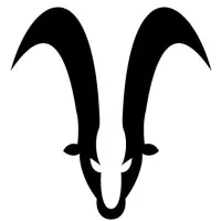 Capricorn EMC