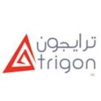 TRIGON LLC