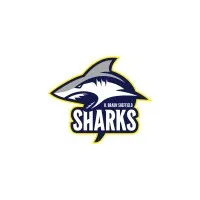 B. Braun Sheffield Sharks