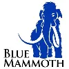 Blue Mammoth Games, a Ubisoft Studio Blue Mammoth Games, a Ubisoft Studio