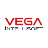 VEGA Intellisoft Pvt Ltd VEGA Intellisoft Pvt Ltd