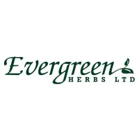 Evergreen Herbs