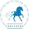 CodeShire Technologies