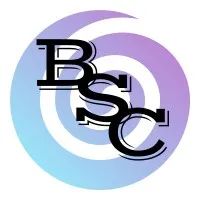 Business Solutions Consulting