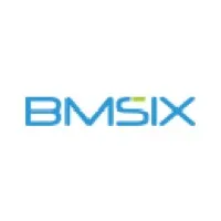 BMSIX