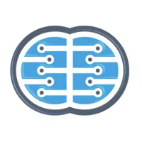 DigiBrain