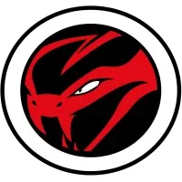 Viper Security Viper Security