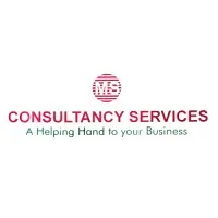MS Consultancy Services