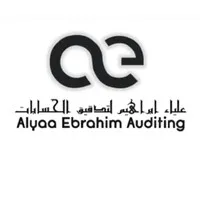 Alyaa Ebrahim Auditing LLC