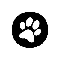 The Dog Social Club Cooperative