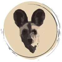 Painteddog.tv