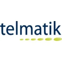 Telmatik