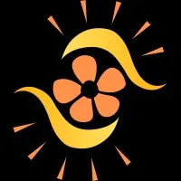 Leanopsys LLC * Leanopsys Business Consultants