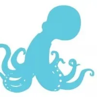 Octo Lights Octo Lights