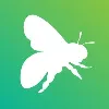 Green Bee Green Bee