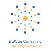 BizWize Solutions BizWize Solutions