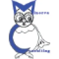 Minerva Consulting Minerva Consulting