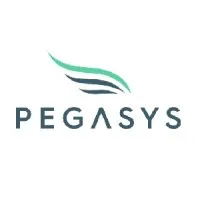 PegaSys Protocol Engineering