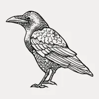 Bevara