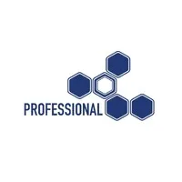 Professtional Company