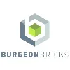 Burgeon Bricks Pte Ltd Burgeon Bricks Pte Ltd
