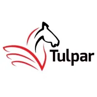 Tulpar Global Taxation