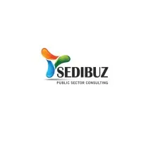 Sedibuz Public Sector Consulting