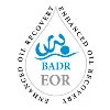 Badr Enhanced Oil Recovery LLC