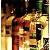 Voodoo Scientific, Inc.