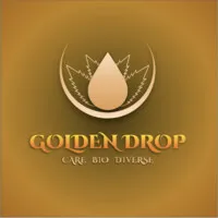 GOLDEN DROP GOLDEN DROP