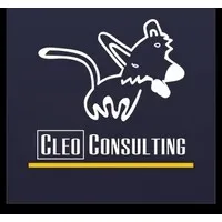 Cleo Consulting, Inc. Cleo Consulting, Inc.